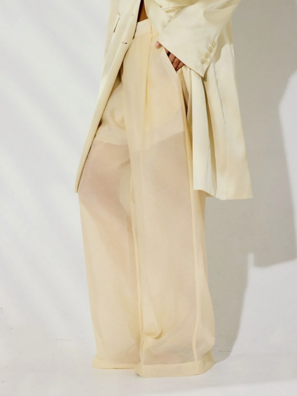 Transparente Wide-Leg-Hose in Champagner